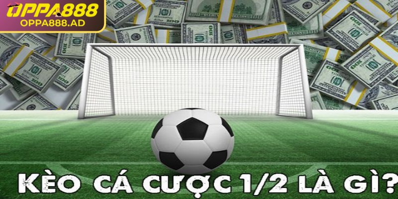 Tìm hiểu tổng quan về kèo 1/2  Oppa888