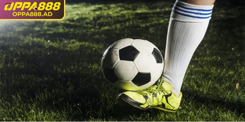 Sử dụng kinh nghiệm từ các trận trước giúp tối ưu hóa cơ hội thắng